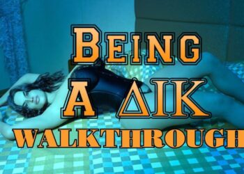 Being a DIK official walkthrough cover art featuring the main cast